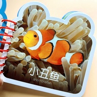 Baby Book Recognition Big All 1 Year Old 2 Years Old 3 Years Old