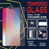 Apple iPhone 13 mini  (防窺)全屏鋼化玻璃膜