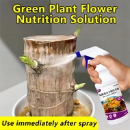 universal type nutrients solution for plants 500ml hydroponic nutrient solution for fruit vegetable flower garden fertilizer for hydroponics and potted plants hydroponic complete set hydroponic solution snap solution hydroponics