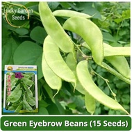 High Yield Green Eyebrow Beans Seeds (15 Seed) Green Hyacinth Bean Seeds Organic Green Lentil Seeds 