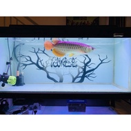 STICKER AKUARIUM AQUARIUM BACKGROUND_ 20D