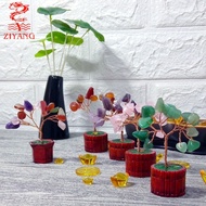 Ziyang lucky charms Miniature Money Tree for Home Decor and Giveaways fengshui