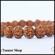 Hot Sale Gelang Genitri Jenitri Rudraksha Kualitas Super