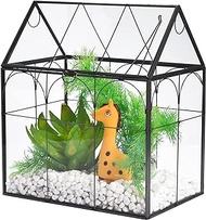 Window Garden Glass Terrarium with Lid - 9x11x6-Inch Indoor Greenhouse Plant Terrarium Decor Planter Dome - Terrarium Kit Tabletop Greenhouse - Plant Accessories Ideal Gift for Nature Lovers