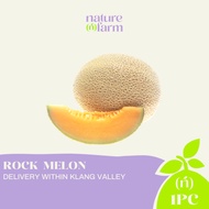 Nature Farm Rock Melon Local (1PC/ 1.5KG +/-)