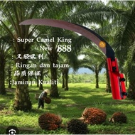 Sabit Sawit Super Camel King 888