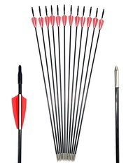 Archery Beginner's First Arrows (30" Fiberglass Target Archery Arrows) - 12 Pack