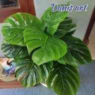 Monstera jumbo/ Monstera palsu / monstera plastik/ monstera hias