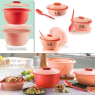 LELONG....Tupperware Level Set