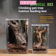 BEATRIX‌ 1Pcs Reptile Feeding Box, High Transparent Anti-Escape Ecological Desert Landscaping Box, D