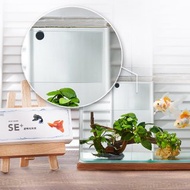 【ECO ZERO】SE+透明光科技 水族生態過濾加強片 (公司貨)