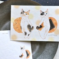 貓咪插畫明信片-仙貝雙椒