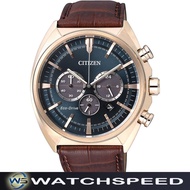 Citizen Eco-Drive CA4283-04L CA4283-04 Solar Leather Analog 100M Men's Watch