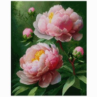 PINN SHOP Cross Stitch Kit : Peony 001 [CX-PV-FW001]