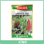 5GM Sakata 508 Benih Cili Padi Hot Pepper F1 Hybrid Chilli Cili Api Padi Fertigasi