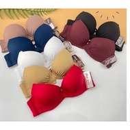 Women's A cup bra size 34-38 with padded breast support, bra with push-up underwire v1 M848