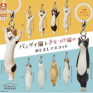 ❰扭蛋玩具街❱ ❰11月預購❱ ❰單售/一套10款❱ ❰日本扭蛋❱ Stasto 舉手和立正貓貓