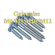 Galvanized Hexagonal Self-tapping DIN571 Galvanized Wood Screw Self-tapping Screw Extended Hexagonal