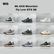 Nike ACG Mountain Fly WG版 戶外登山鞋