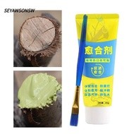 SEYAWSONSW Tree Wound Sealant, 100g Tree Repair Grafting Tree Sealer,  Smear Agent with Brush Plant 