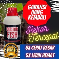 Vitamin Ikan Lele,Vitamin ikan Lele Alami,Vitamin ikan Lele