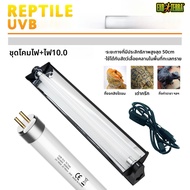 T8UVB หลอดแสง T8 พร้อมฝาครอบสะท้อนแสงสำหรับการให้แสง UVB บนแผ่นรองหลอดไฟ T8 สำหรับการเลี้ยงสัตว์เลื้