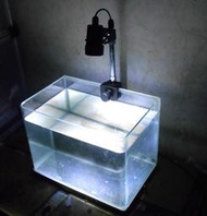 【光力能LED植物燈坊】特製1尺小缸伸縮型6W聚光水族缸夾燈