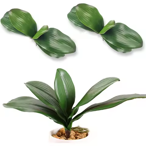 1pc Real Touch Feel Artificial Phalaenopsis Orchid Leaf/foliage-shades Of Lush Green Leaves Lifelike