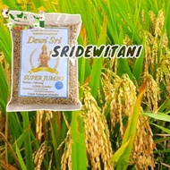 Promo Minggu Ini Terlaris Bibit Padi Ciherang Super Jumbo 1 Kg Bibit