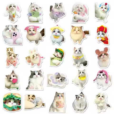 50PCS Ragdoll Cat Stickers Cute Cartoon Bicolor Cat Decals Waterproof Vinyl for Laptop Water Bottle 