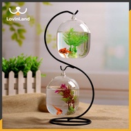 Lovinland Pet Suspended Transparent Hanging Glass Fish Tank Aquarium Flower Plant Vase Flower Vase for Home Decoration