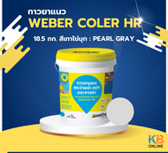 Weber color HR เวเบอร์ คัลเลอร์ เอช อาร์ | กาวยาแนวสระว่ายน้ำ สปา และซาวน่า | ขนาด 3.7 กก. | ขนาด 18