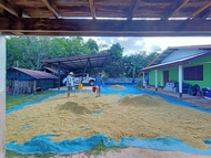 ผ้าลานตากข้าว แหย้งตากข้าว ขนาด 4x4 4x5 5x5 5x6 6x6 5x7 6x7 5x8 6x8 7x8 8x8 5x9 6x9 7x9 8x9 9x9 5x10