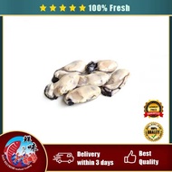 [Ready Stock]Frozen Seafood Oyster Meat 生蚝肉 200g