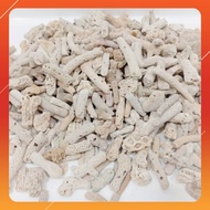 【1KG】Coral Stone Aquarium  Batu Karang Sea Coral Bone Batu Hiasan Batu Karang Aquarium Fish Tank Fil