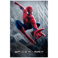 Spider Poster Man Peter Hero Movie Poster Canvas Poster Wall Art Decoration Printing Picture Painting Suitable for Living Room Bedroom Decoration Frameless