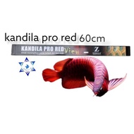 Kandila pro red view kandila pro 600 Arowana tanning Lamp/ kandila pro600 view 60cm 15w Arowana tenn