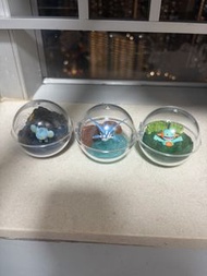 Pokemon扭蛋 ptcg psa bgs