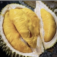 Durian Bawor Utuh Sweet Legit (Hampir seperti musang king) 3,5 kg