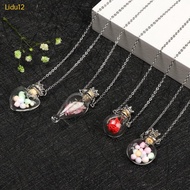 Lidu12 Keep Openable Make a for  Pendant Blood Vial Necklace For Wome