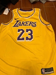 Nike NBA Jersey lebron james