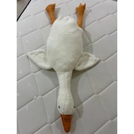 Big White Duck Goose