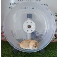Large hamster wheel diameter 25cm