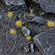 Gamers Grass - GGTT-BE - Tiny Tufts Beige