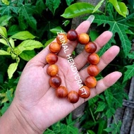 KAYU Agatis or Raja wood bracelet 16mm
