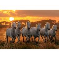 7 Running Horse Paint