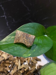 糖結鸚哥綠棋楠(九分沉)