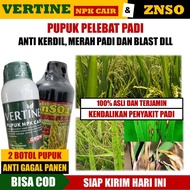 VERTINE & ZnSO4: Kombinasi Pupuk Cair untuk Padi yang Lebat dan Tahan Hama