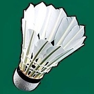 🏸筒裝羽毛球 12pc badminton racket # badminton ball FEATHER BADMINTON SHUTTLECOCK 羽毛球毽子 筒裝 羽毛球 #羽毛球波 不是#二手