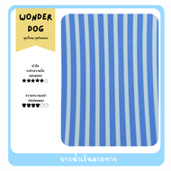 ชุดเก็บขนสุนัข wonder dog เสื้อสุนัข เสื้อหมา เสื้อแมว ชุดกันขนร่วงสุนัข ชุดสุนัก ชุดหมาชุดแมว ชุดสั